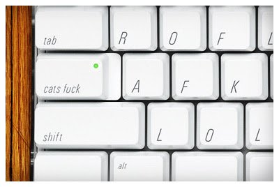 brb, cats fuck