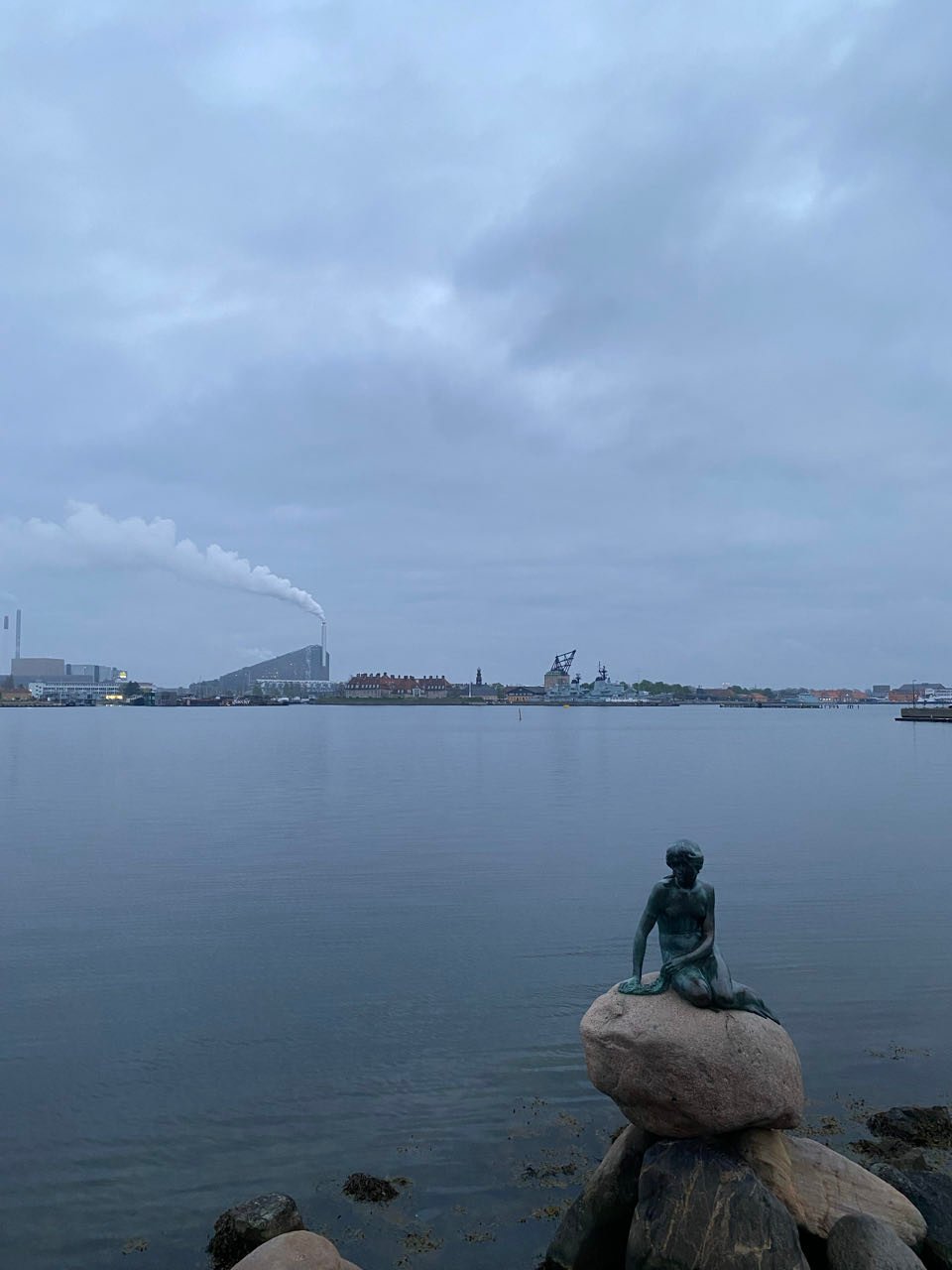 Lil Mermaid