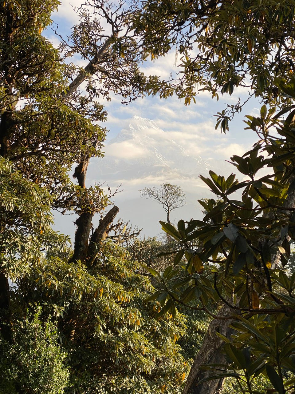 Poon Hill
