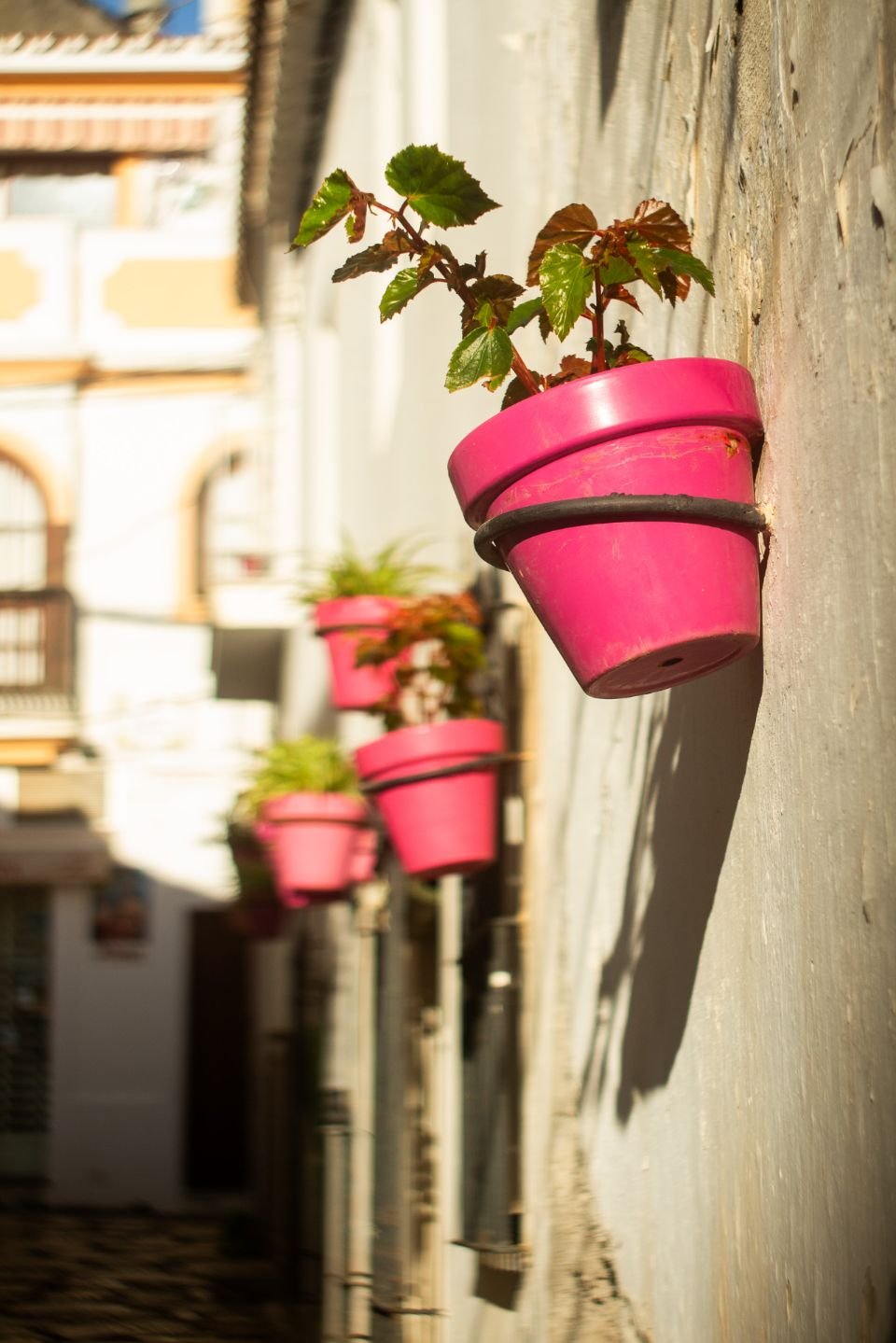 Estepona