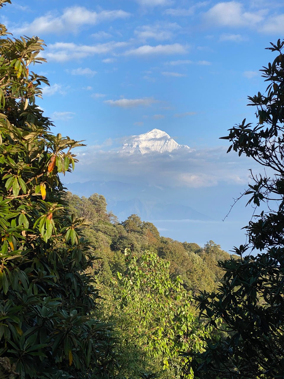 Poon Hill