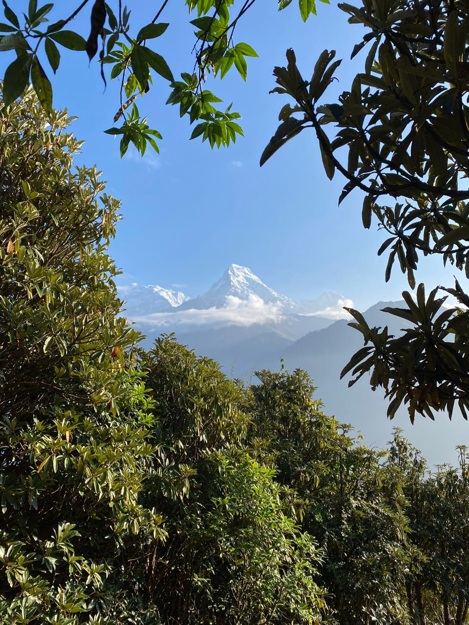 Poon Hill