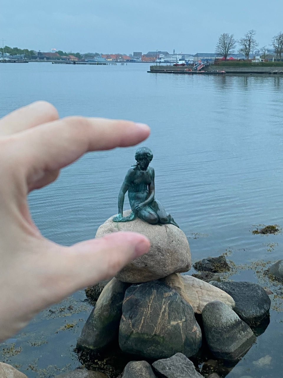 Lil Mermaid