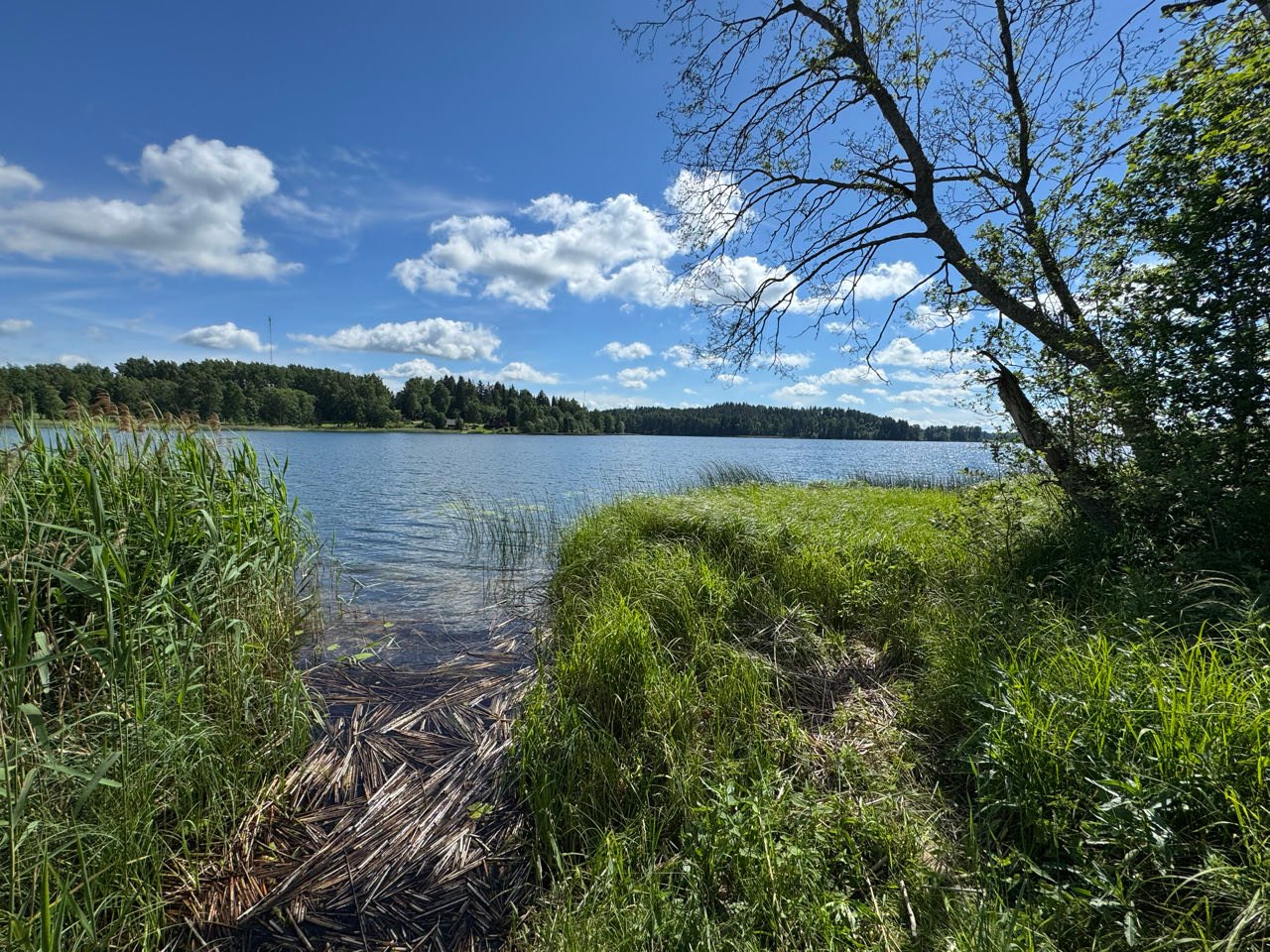 Pangodi järv