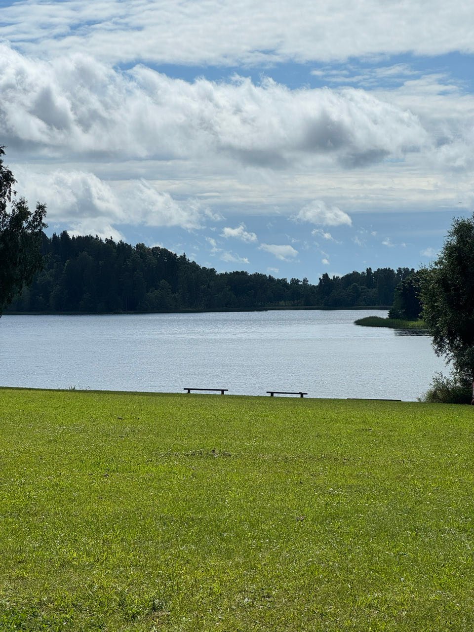 Pangodi järv
